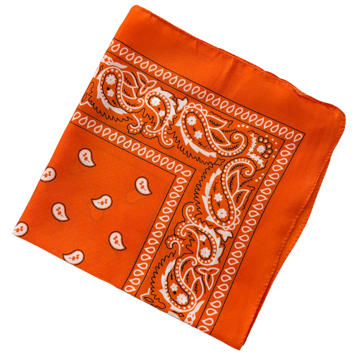 Bandana Paisley Western Classic