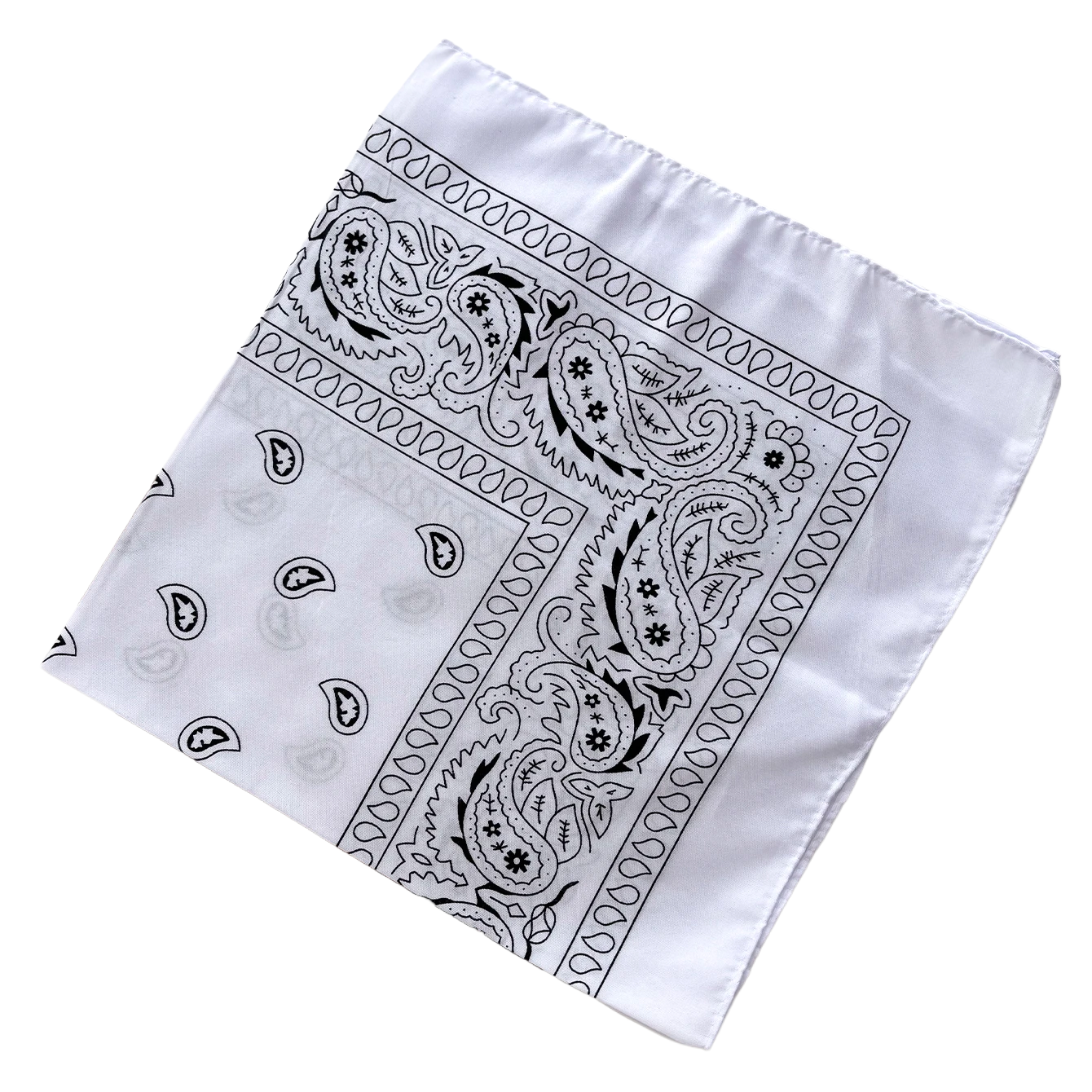 Bandana Paisley Western Classic