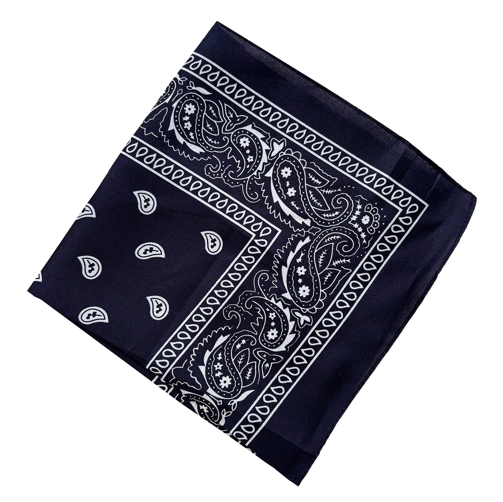 Bandana Paisley Western Classic
