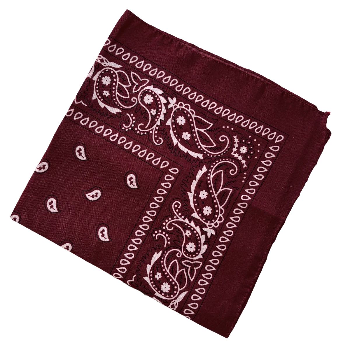 Bandana Paisley Western Classic