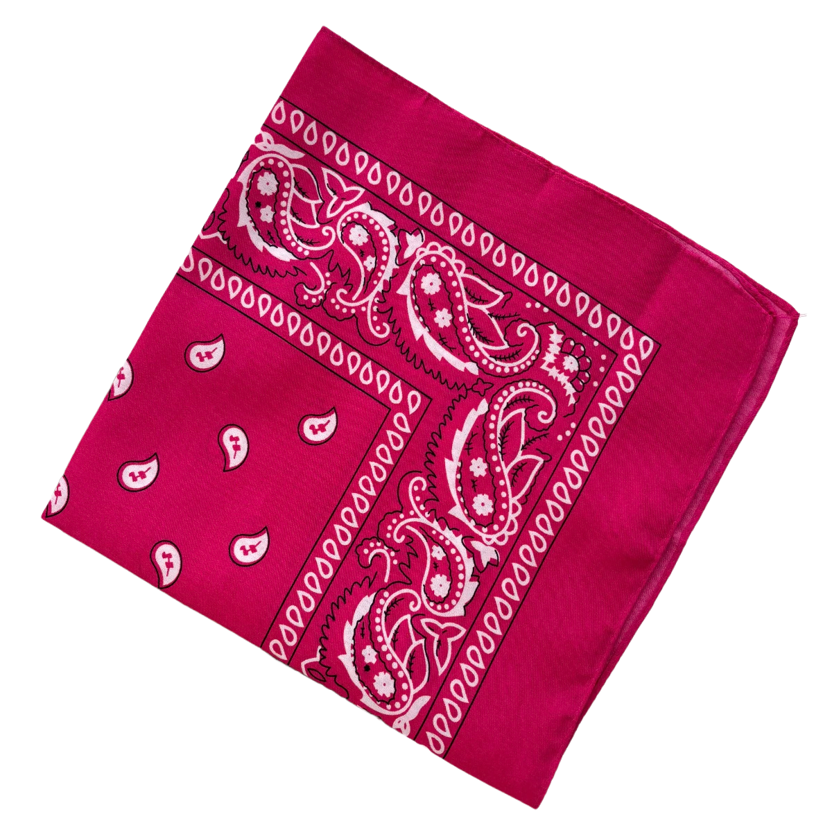 Bandana Paisley Western Classic