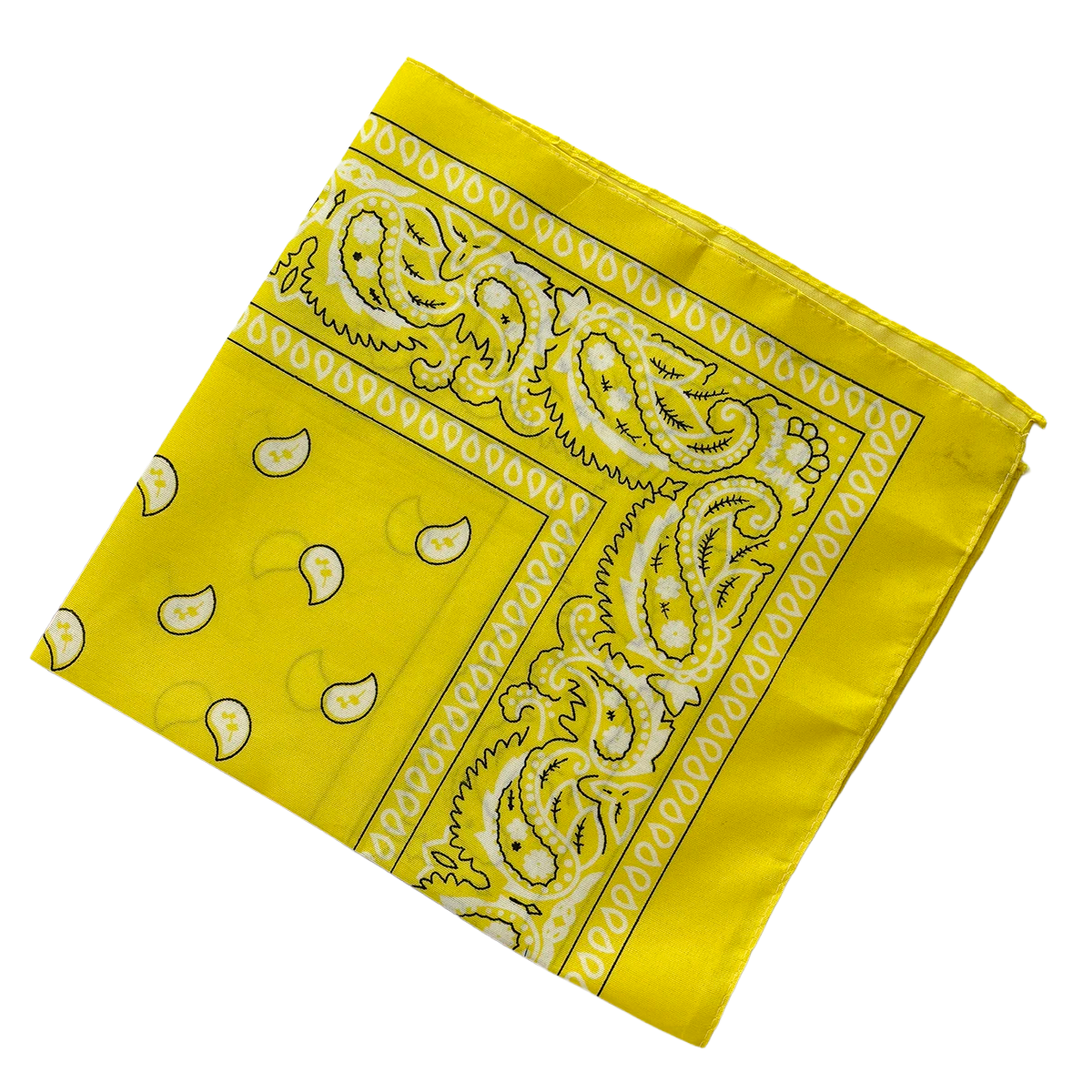 Bandana Paisley Western Classic