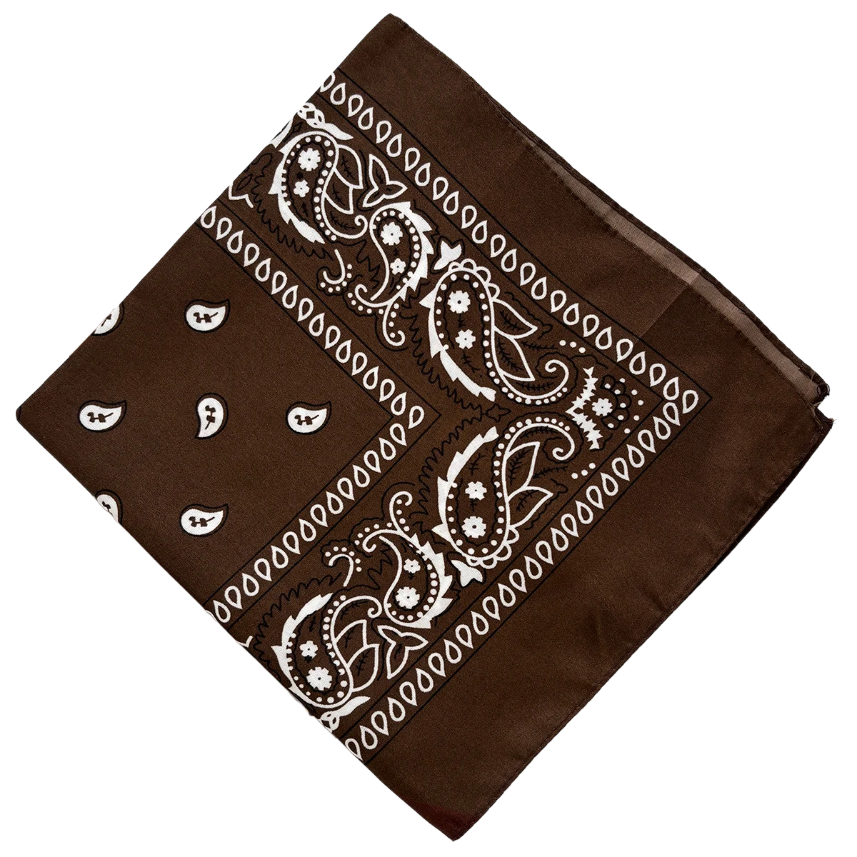 Bandana Paisley Western Classic