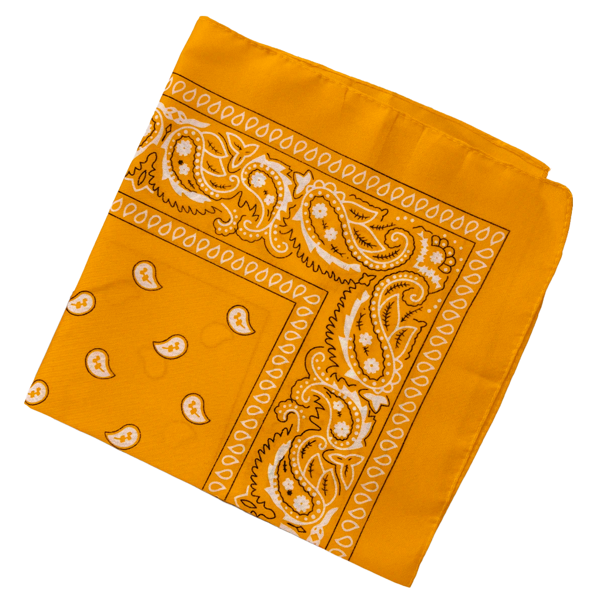 Bandana Paisley Western Classic