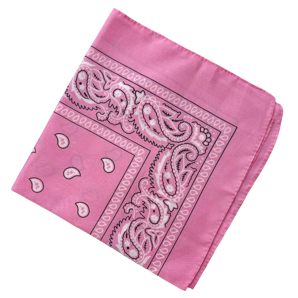Bandana Paisley Western Classic