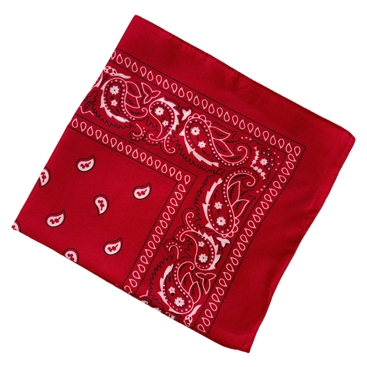 Bandana Paisley Western Classic