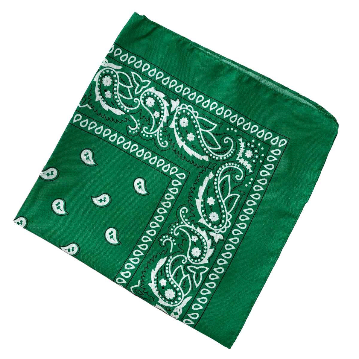 Bandana Paisley Western Classic