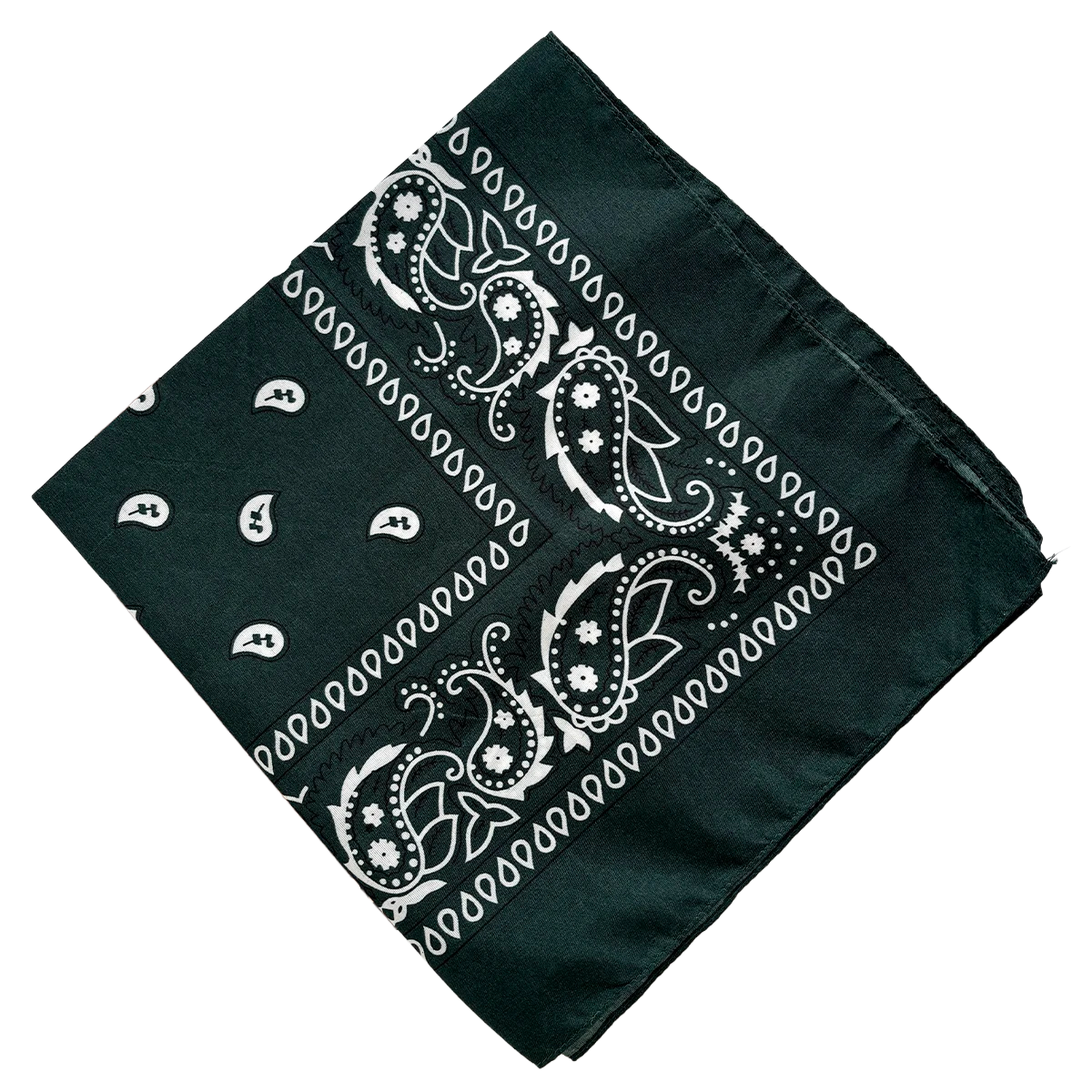 Bandana Paisley Western Classic
