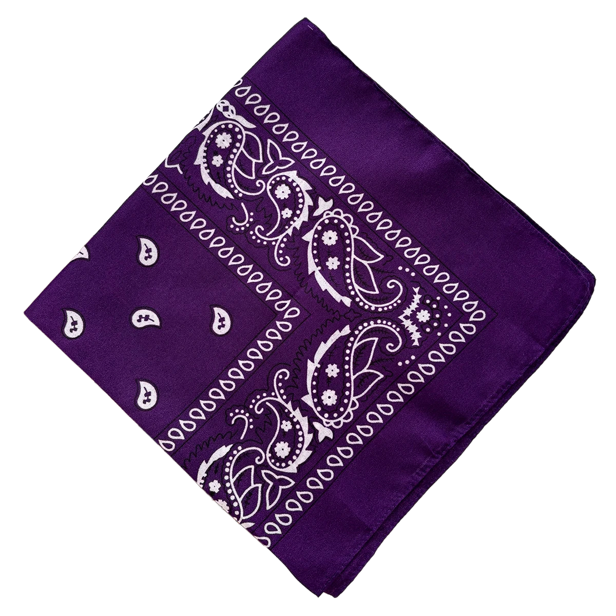 Bandana Paisley Western Classic